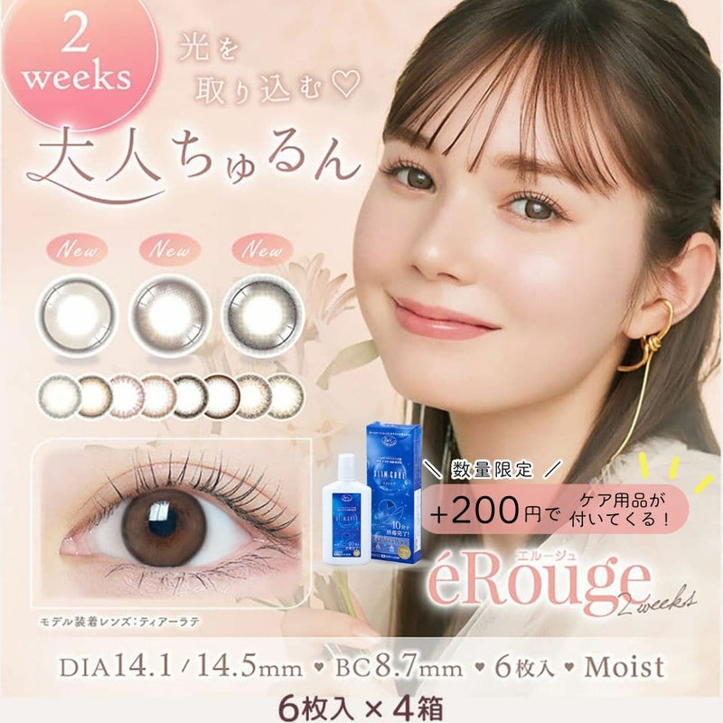 【送料無料】エルージュ (eRouge)  6枚入 4箱セット